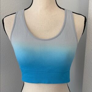 PINK Victoria's Secret Blue and Gray Sports Bra